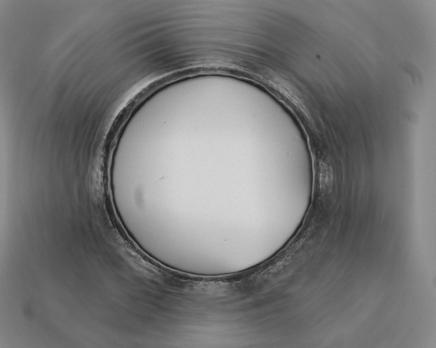 X0000112761068200909101525