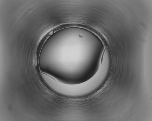 X0000112761069200909101525