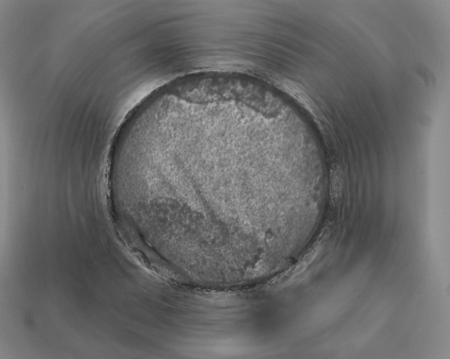 X0000112761071200909101525