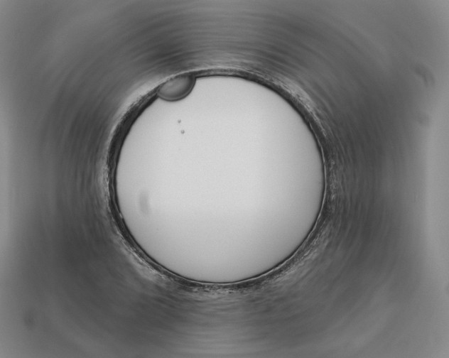 X0000112761072200909101525