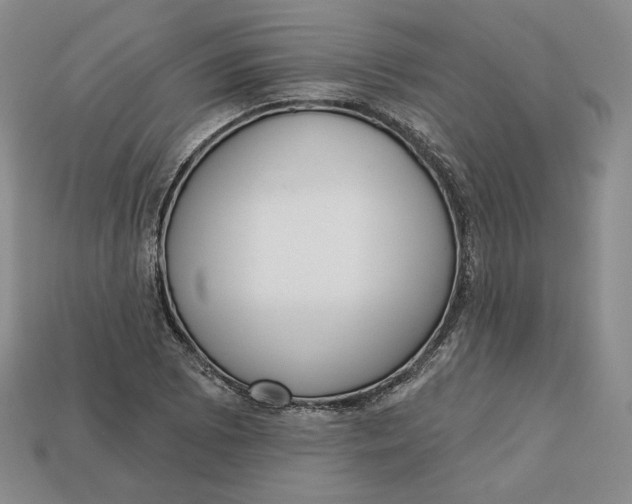 X0000112761073200909101525