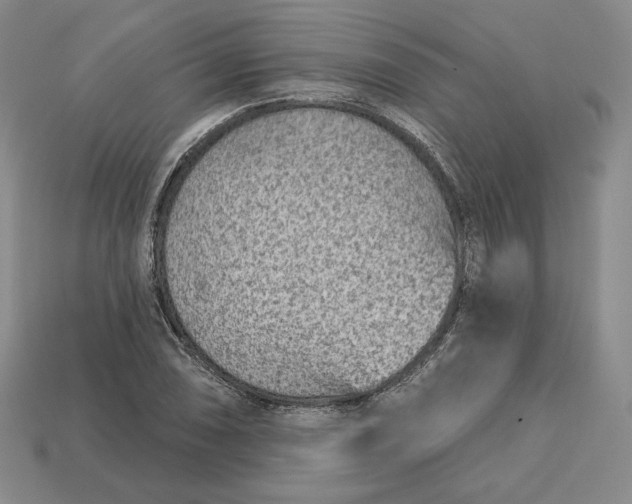 X0000112761074200909101525