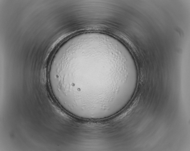 X0000112761075200909101525