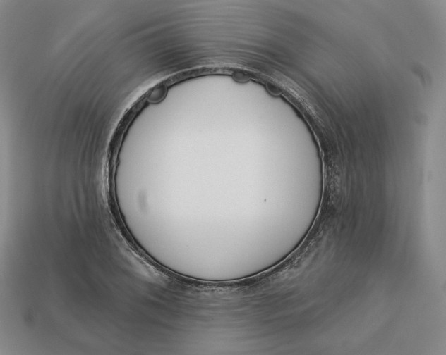 X0000112761076200909101525