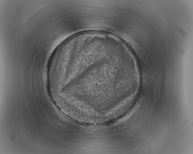 X0000112761077200909101525