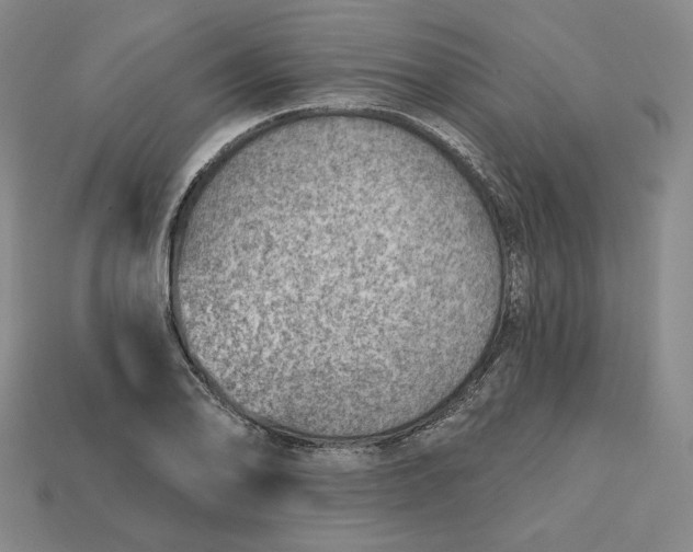 X0000112761078200909101525