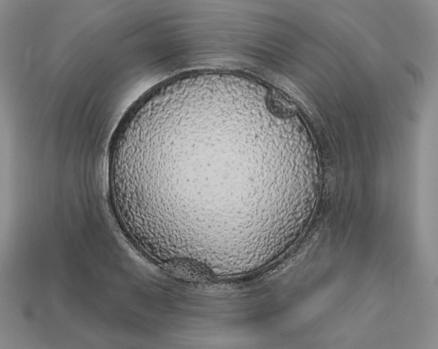 X0000112761079200909101525