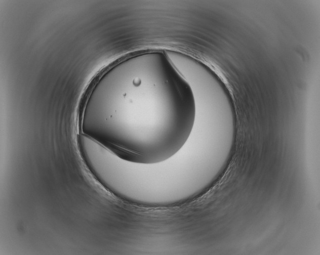 X0000112761080200909101525