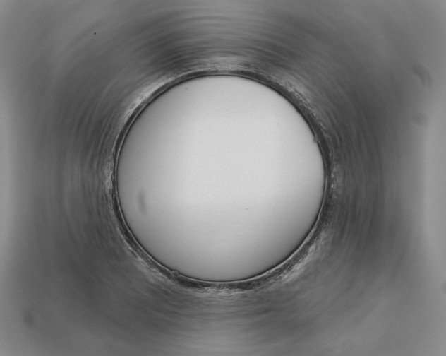 X0000112761081200909101525