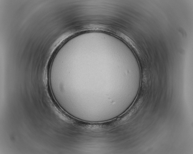 X0000112761082200909101525