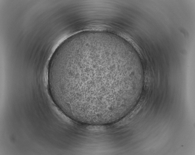 X0000112761083200909101525