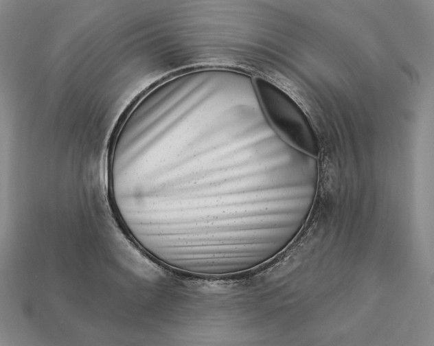 X0000112761084200909101525