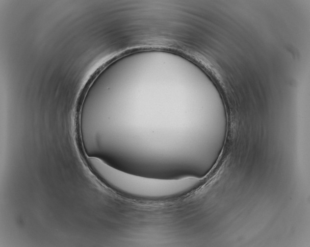 X0000112761085200909101525