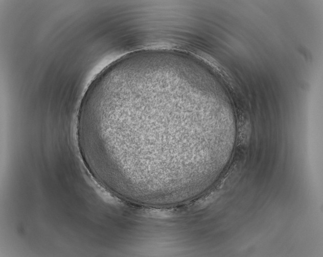 X0000112761086200909101525