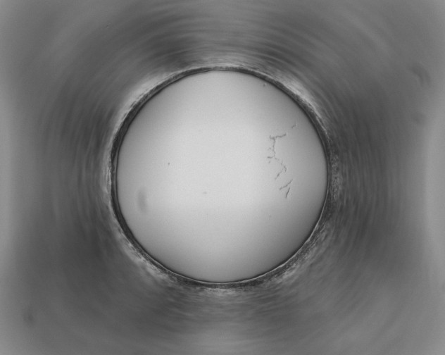 X0000112761088200909101525
