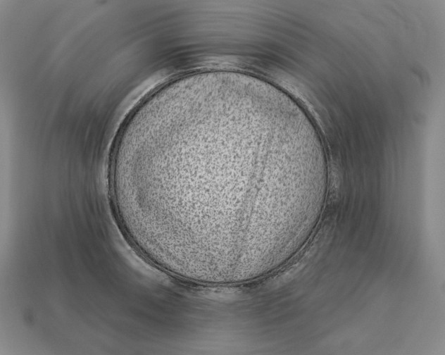 X0000112761090200909101525