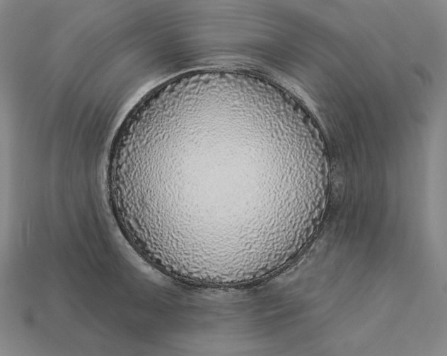 X0000112761091200909101525