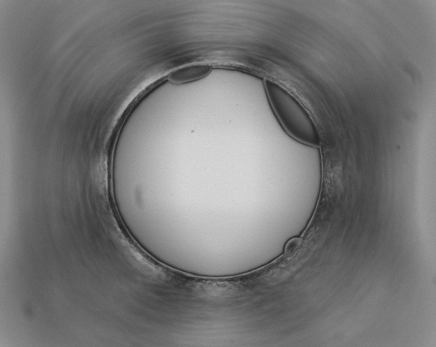 X0000112761092200909101525