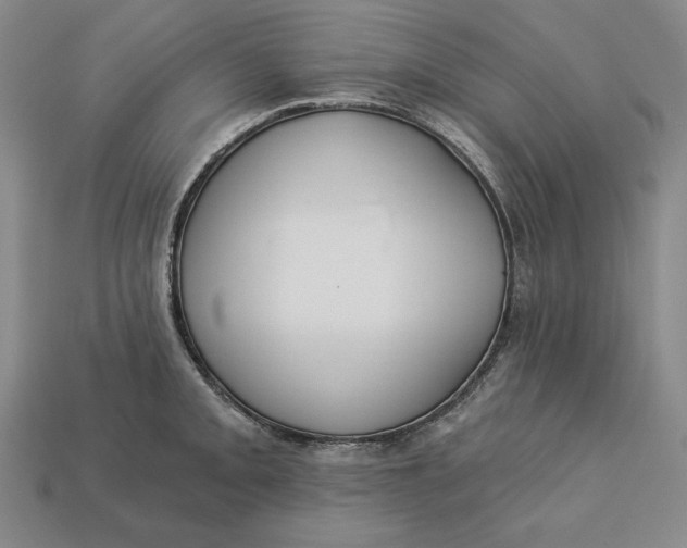 X0000112761093200909101525