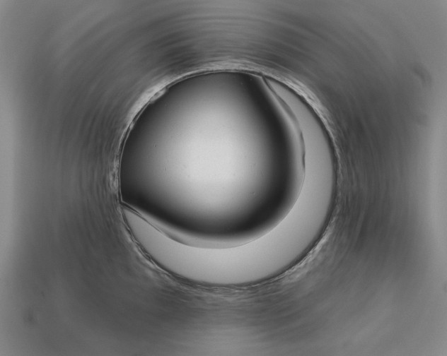 X0000112761097200909101525