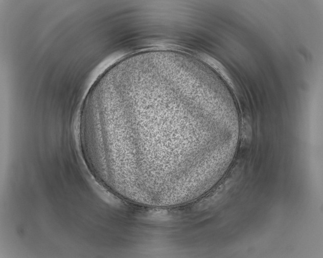 X0000112761098200909101525