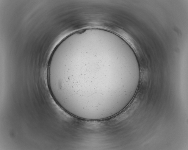 X0000112761100200909101525