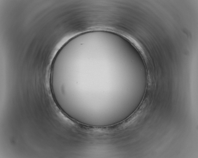 X0000112761102200909101525