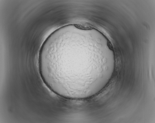 X0000112761103200909101525