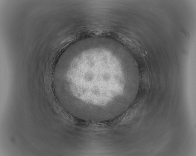 X0000112761105200909101524