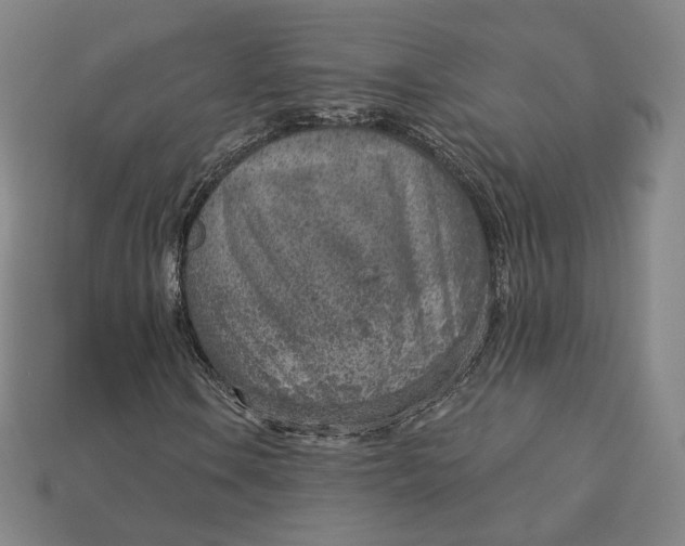 X0000112761106200909101524