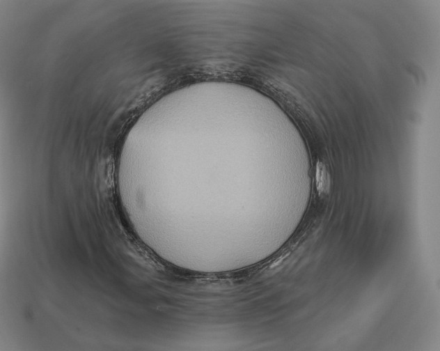 X0000112761107200909101524