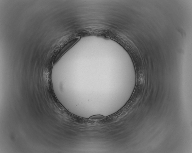 X0000112761108200909101524