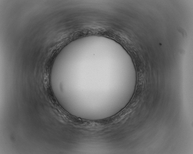 X0000112761109200909101524
