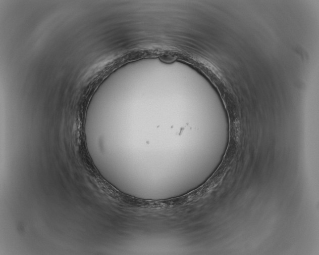 X0000112761111200909101524