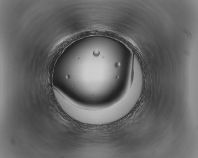 X0000112761112200909101524