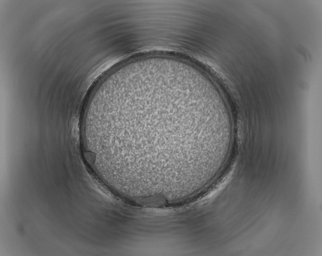 X0000112761113200909101524