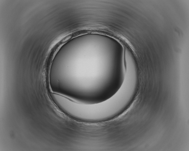 X0000112761114200909101524