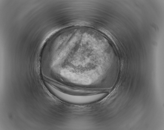 X0000112761115200909101525