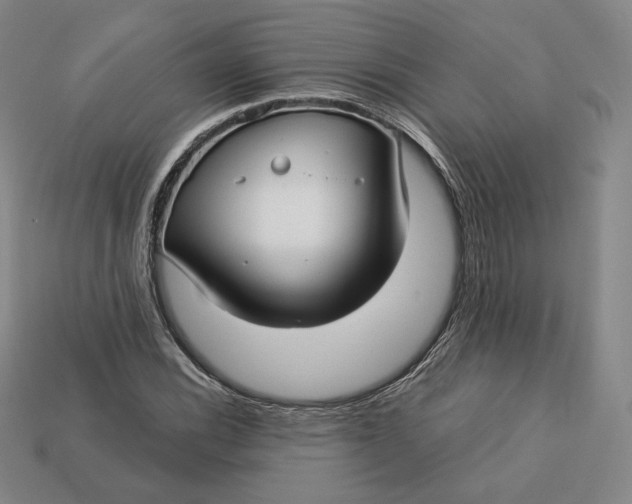 X0000112761116200909101525