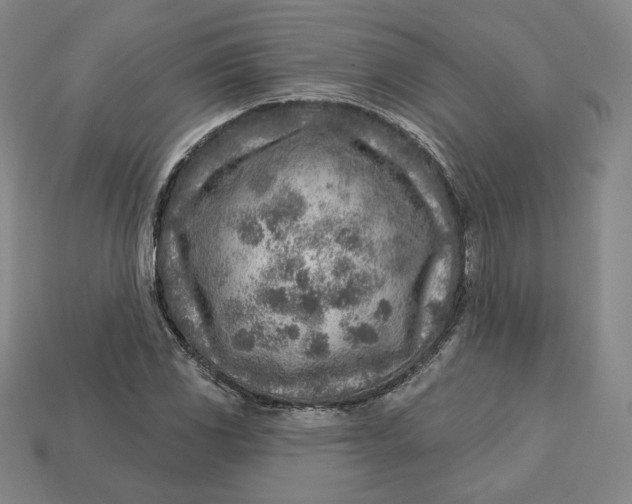 X0000112761117200909101525