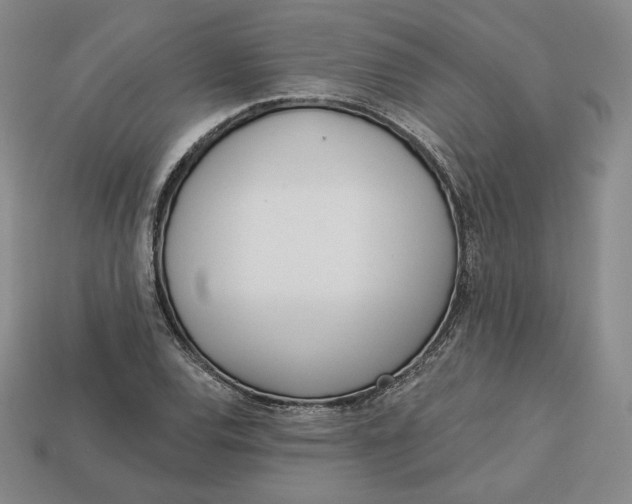 X0000112761120200909101525