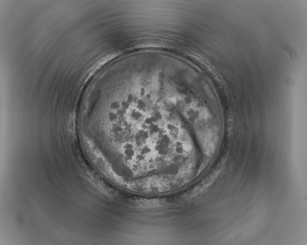 X0000112761121200909101525