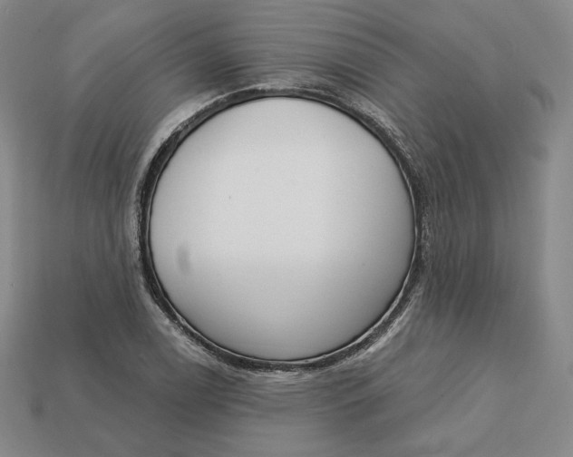 X0000112761122200909101525