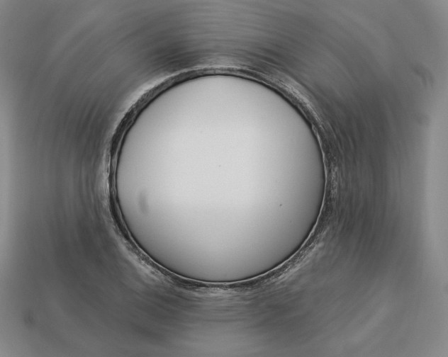 X0000112761124200909101525