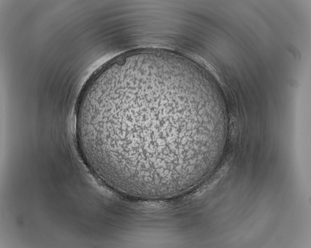 X0000112761125200909101525