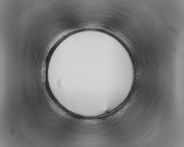 X0000112761126200909101525