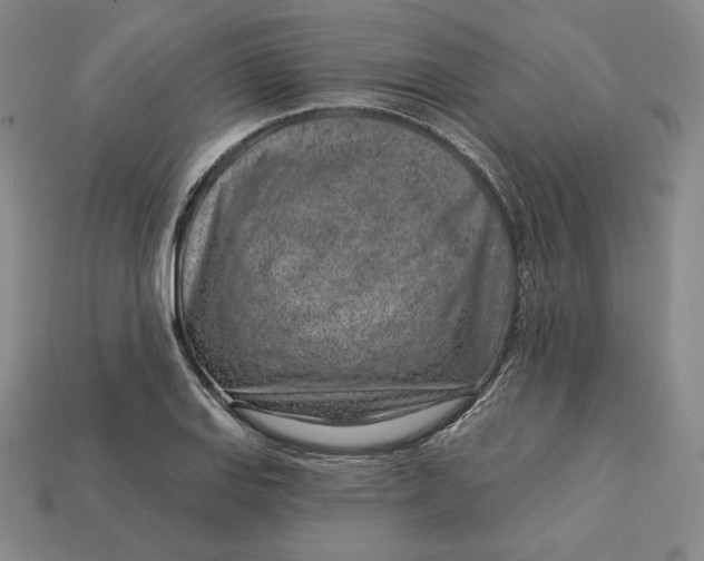 X0000112761127200909101525