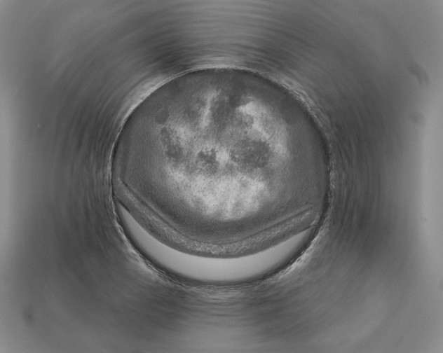 X0000112761129200909101525
