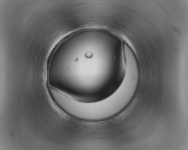 X0000112761132200909101525