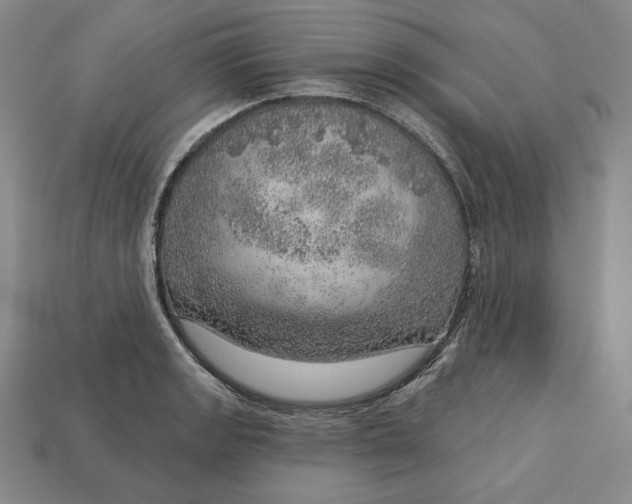X0000112761133200909101525